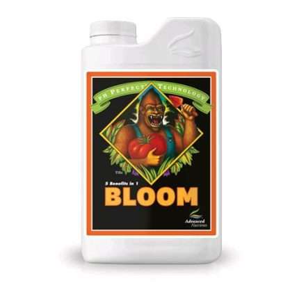 Bloom Ph perfect