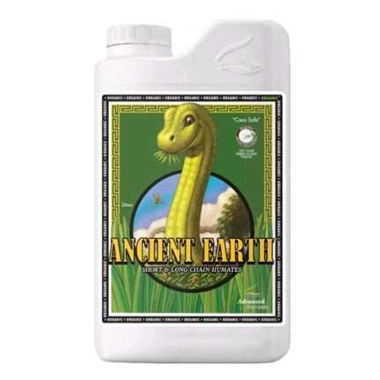 Ancient Earth