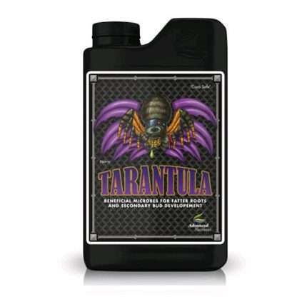Tarantula