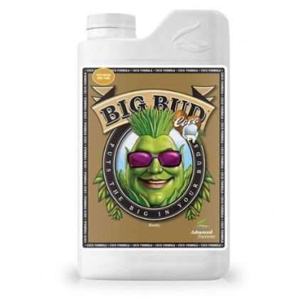 Big Bud Coco