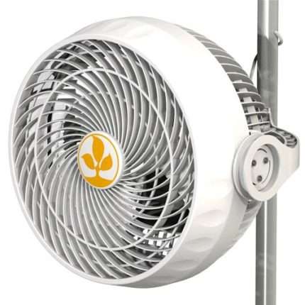 30W MONKEY FAN  – SECRET JARDIN