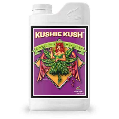 Kushie Kush