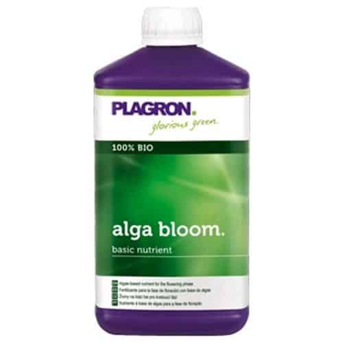 ALGA BLOOM PLAGRON