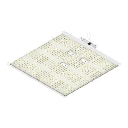 240W QUANTUM BOARD - ORTOLED