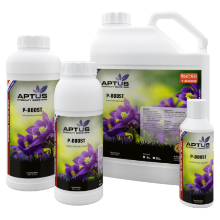 P-Boost - Aptus