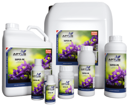 Super-PK - Aptus