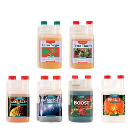 Kit Canna terra