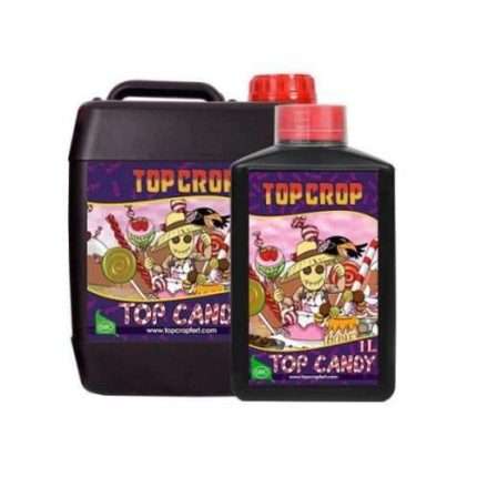 Top Candy - Top crop