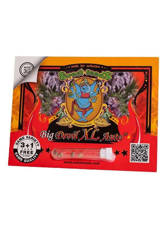 Big Devil XL Auto - Sweet seeds