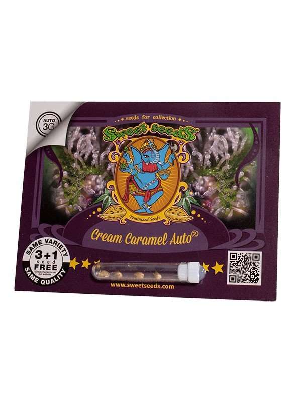 Cream Caramel Auto - Sweet seeds
