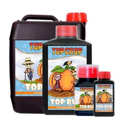 Top Bud - Top crop