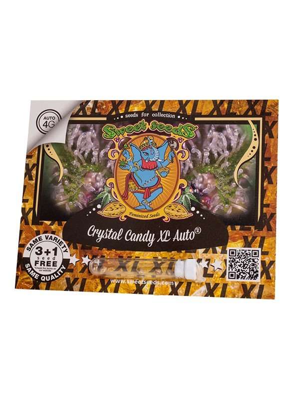 Crystal Candy XL Auto - Sweet seeds