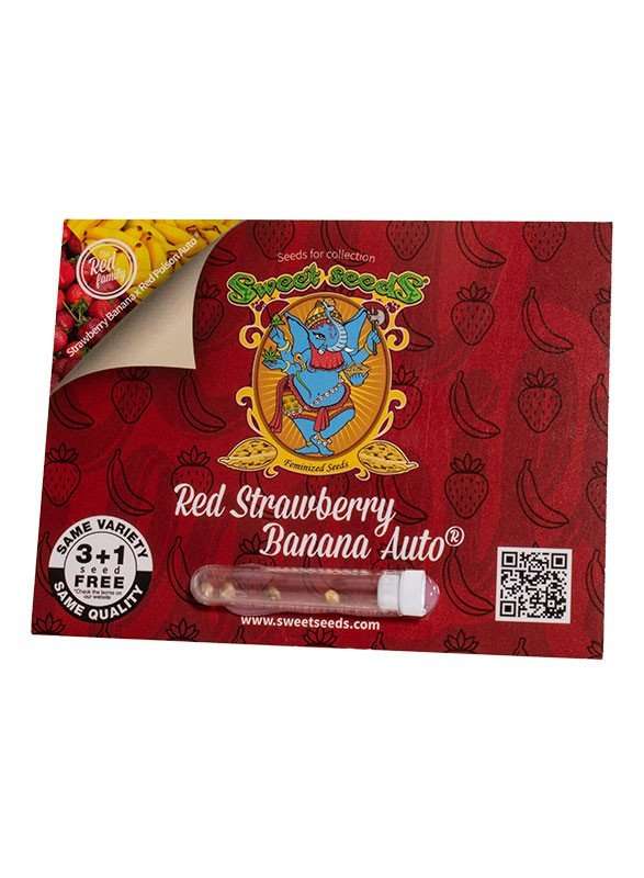 Red Strawberry Banana Auto - Sweet seeds