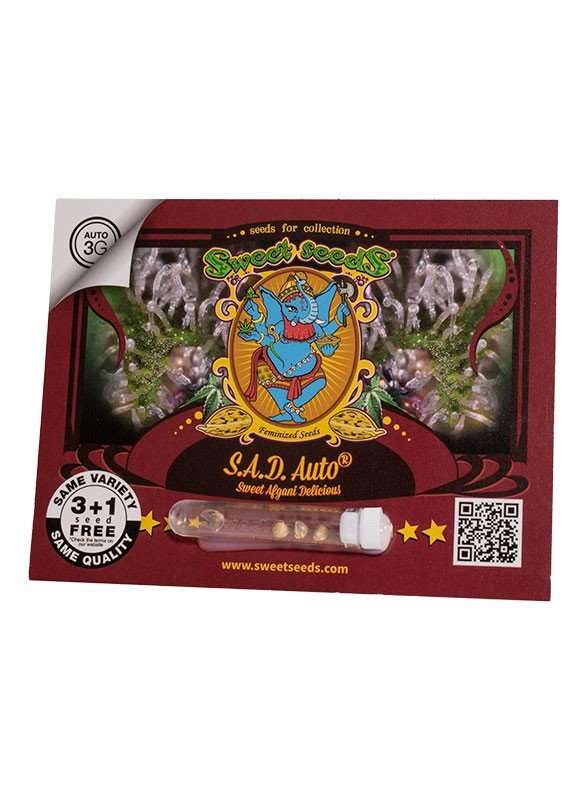 S.A.D. Sweet Afgani Delicious F1 Fast Version - Sweet seeds