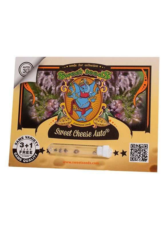 Sweet Cheese Auto - Sweet seeds