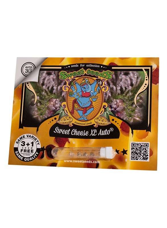 Sweet Cheese XL Auto - Sweet seeds