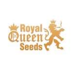 Royal Queen Seeds