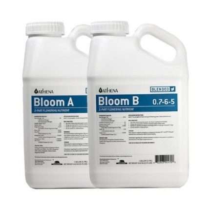 Bloom A+B - 3,78 L - Blended line - Athena