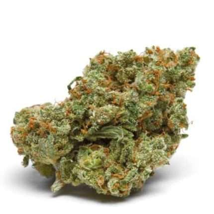 The Real Amnesia - Growers choice