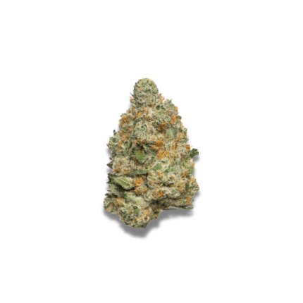 Apple Fritter Auto - Growers choice