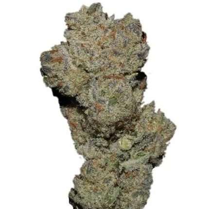 Banana Glue - Growers choice