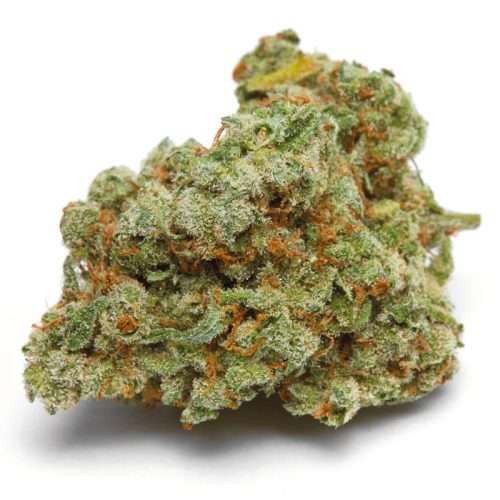 Double xl Banana Sherbet Auto – Growers choice