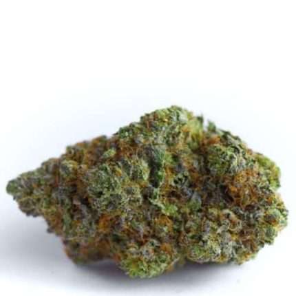 Blue Forest Berry - Growers choice