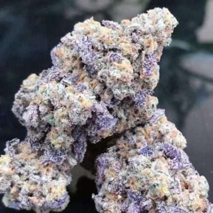Blue Zushi Limited Edition - Growers choice