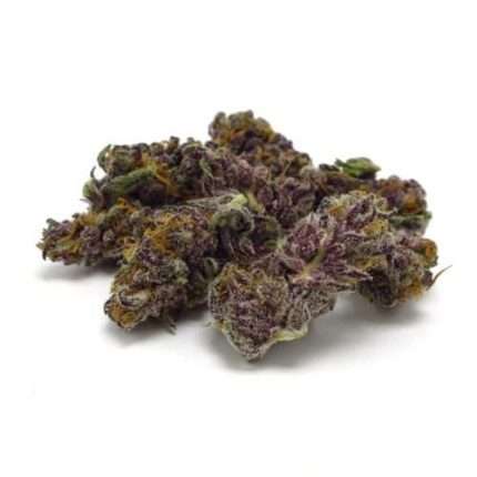 Blue Diesel Auto - Growers choice