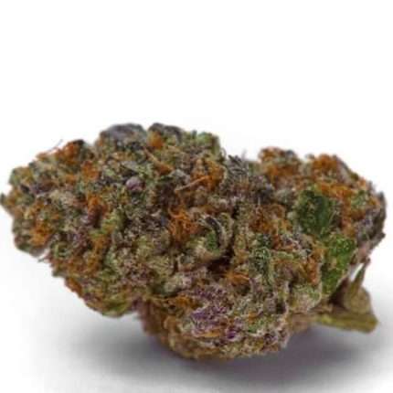 Blue Dream Sherbet - Growers choice