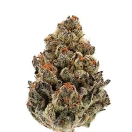 Bruce Banner Auto - Growers choice