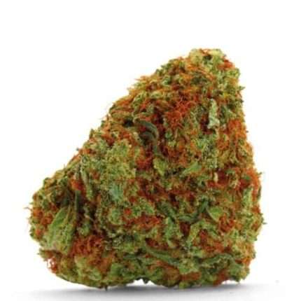 Bubblegum x Fat HOG - Growers choice