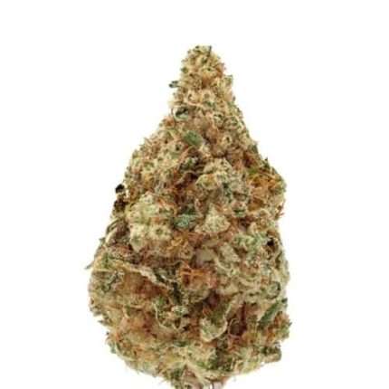 Charlotte's Dream CBD Auto - Growers choice