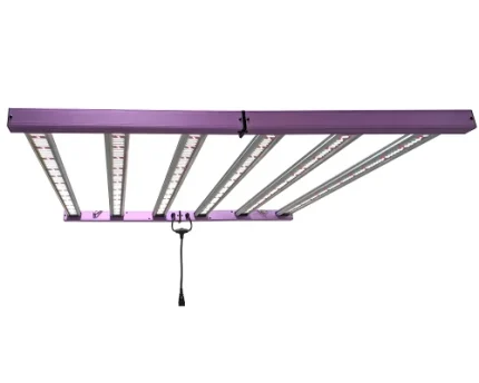 Led ECO LITE 720w - Cultilite
