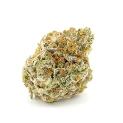 Forbidden Runtz - Growers choice