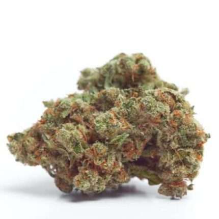 Gorilla Cookies - Growers choice