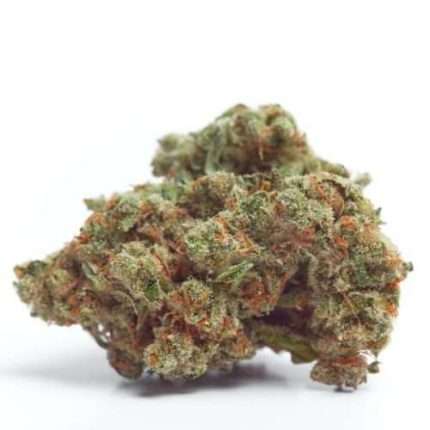 Gorilla Cookies Auto - Growers choice