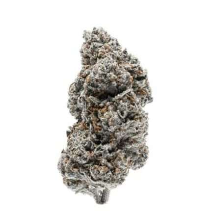 Tangerine Sherbet - Growers choice