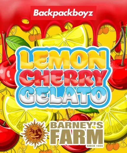 Lemon Cherry Gelato  - BARNEY'S FARM