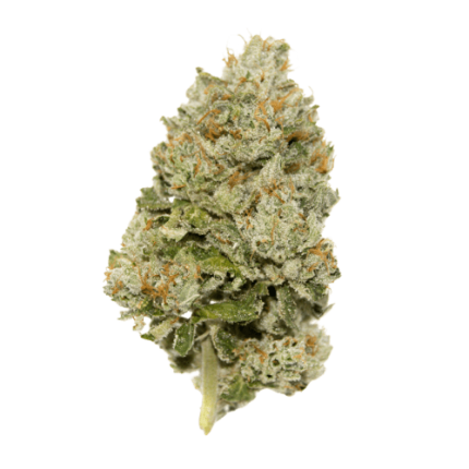 White truffle auto limited edition - Growers choice