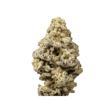 Mac n Cheese Limited Edition - Growers choice