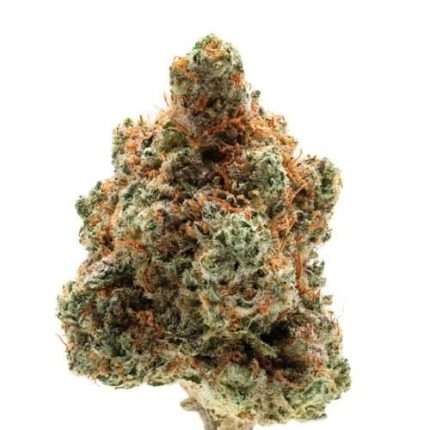 Monkey Glue auto - Growers choice