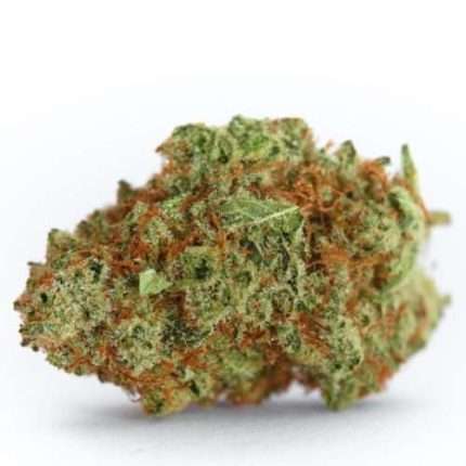 Monsterbud - Growers choice