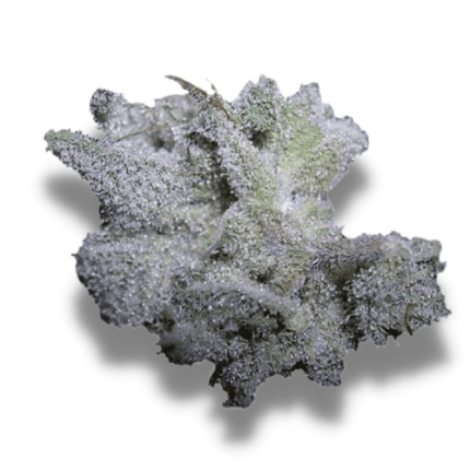 Brain Damage - Growers choice
