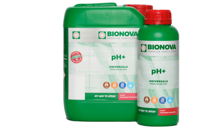 Ph Up Bionova 1 litro