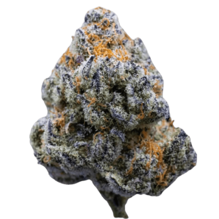 Platinum Mimosa Cookies Fast Version - Growers choice