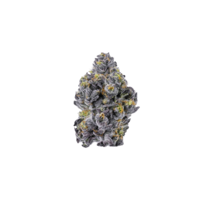 Triploid f1 Sticky wasabi - Growers choice