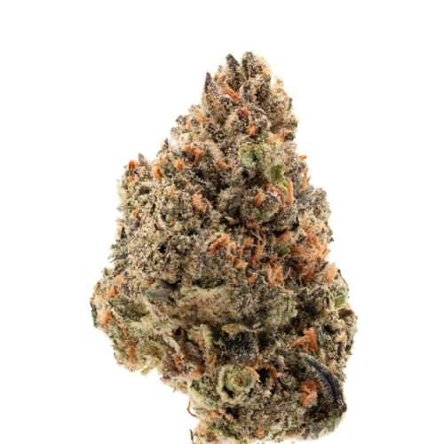 Tangie Punch – Growers choice