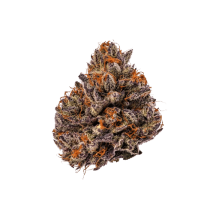 Triploid F1 Tropicana cherry - Growers choice