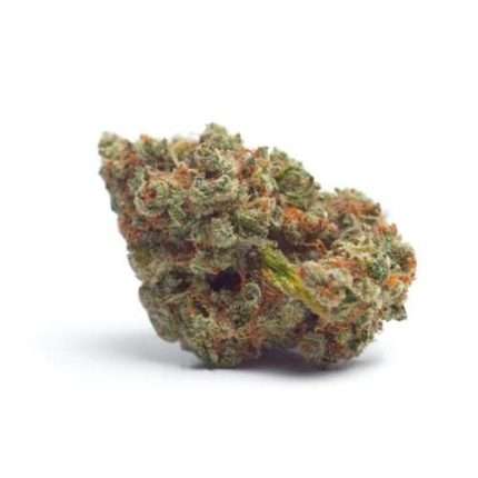 Tropicana Weddingcake Auto - Growers choice